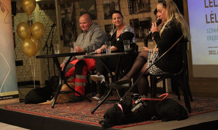 Testi-lelki-szellemi feltöltődés művészettel: az V. Lélektől-lélekig Színház Gyógyító Erejének Fesztiváljának második napja!