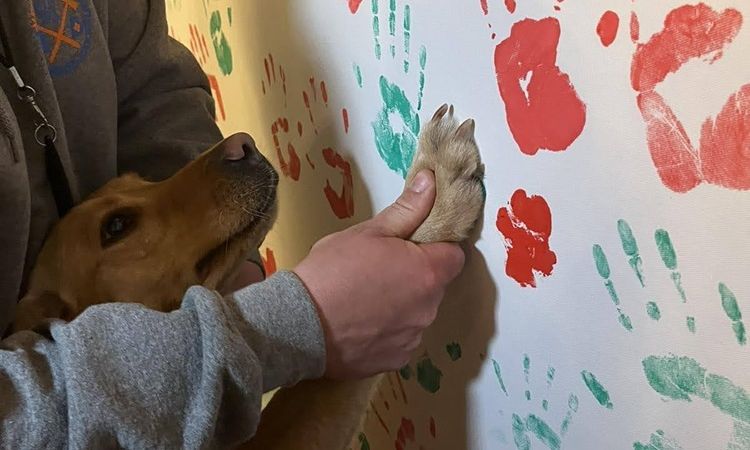 Testi-lelki-szellemi feltöltődés művészettel: az V. Lélektől-lélekig Színház Gyógyító Erejének Fesztiváljának második napja!