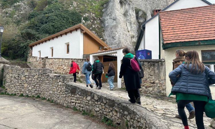 A PetőfIfiAkadémia a természet harmóniája, zöldek vagyunk ebben a nagy családban!