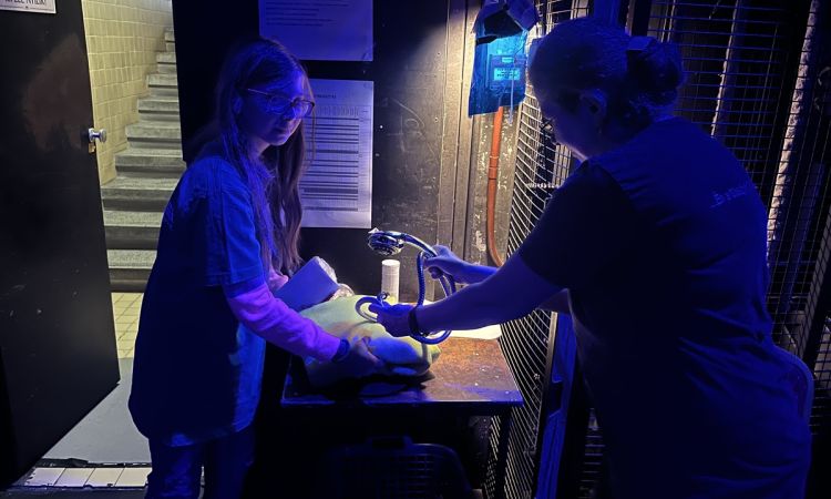 A mostani akadémianapunk is nagyon izgalmasan telt!