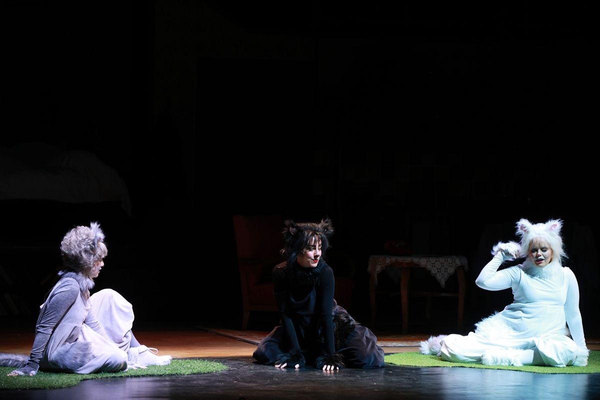 Frakk, a macskák réme