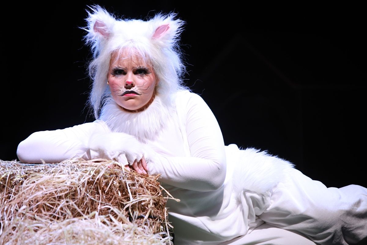 Frakk, a macskák réme