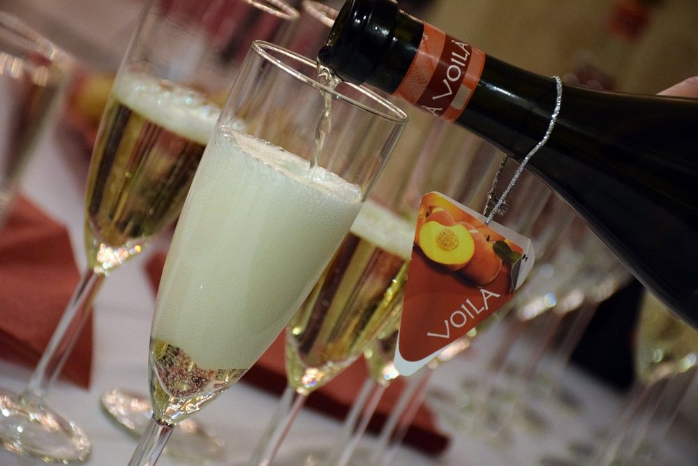 Dr. Kollányi András kiállítása - megnyitó