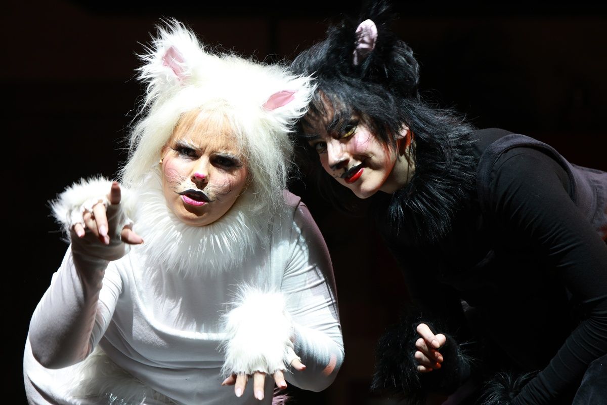 Frakk, a macskák réme