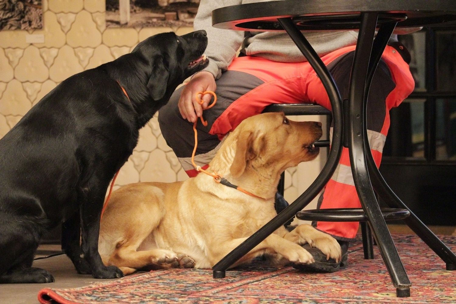 V. Lélektől-lélekig Színház Gyógyító Erejének Fesztiválja - II. nap