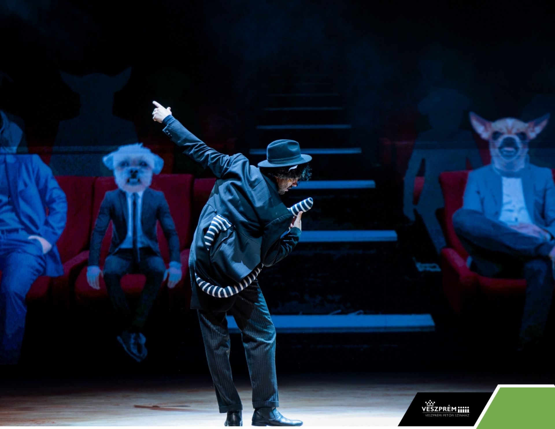 Kérem a következőt! - Dr. Bubó