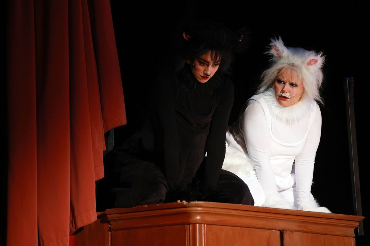 Frakk, a macskák réme