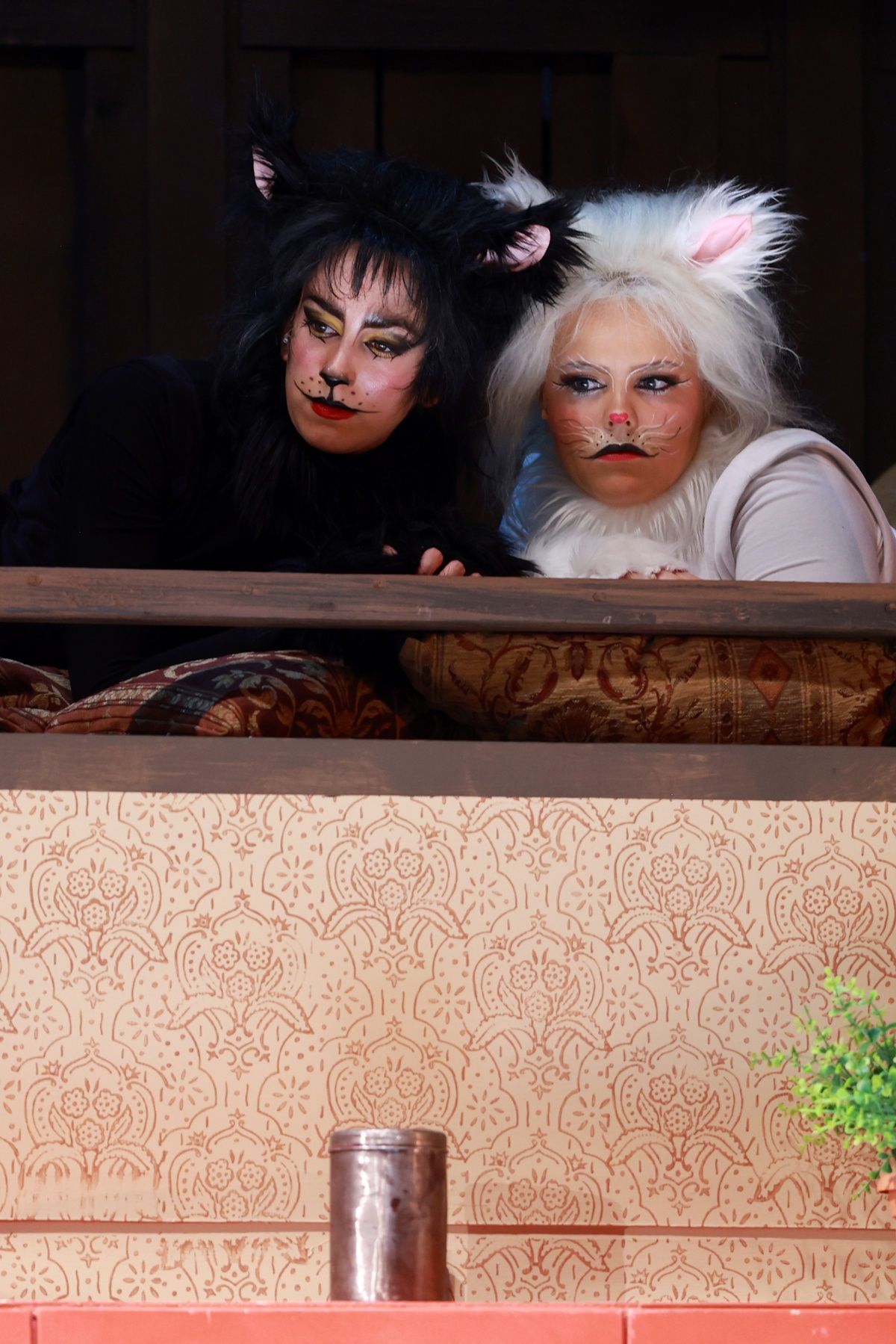 Frakk, a macskák réme