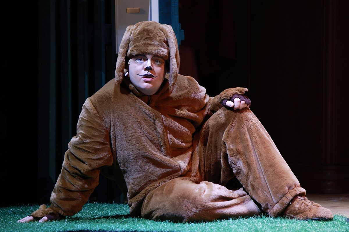 Frakk, a macskák réme