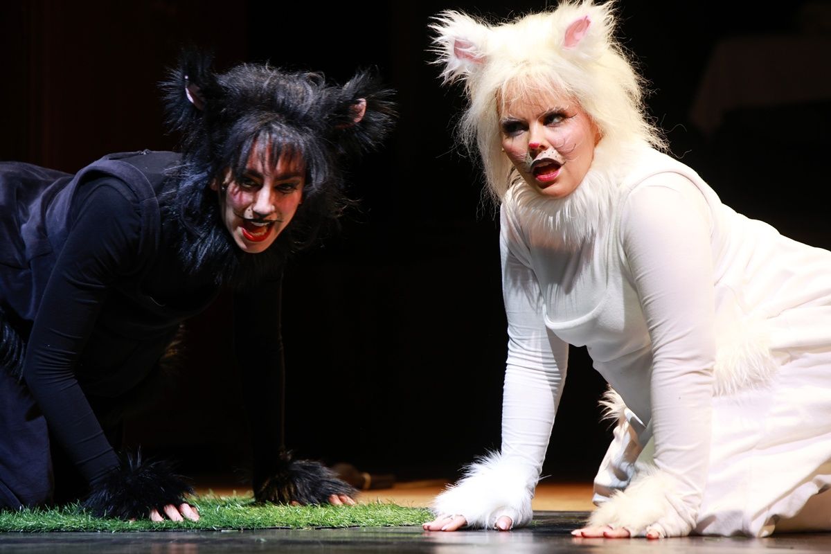 Frakk, a macskák réme