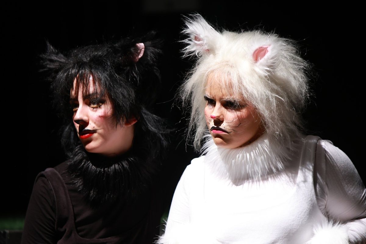 Frakk, a macskák réme