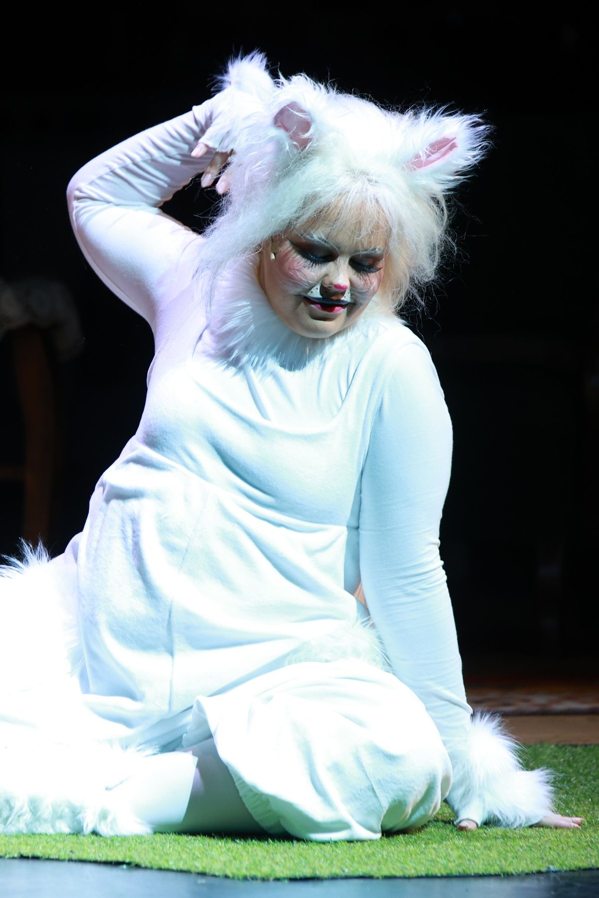 Frakk, a macskák réme