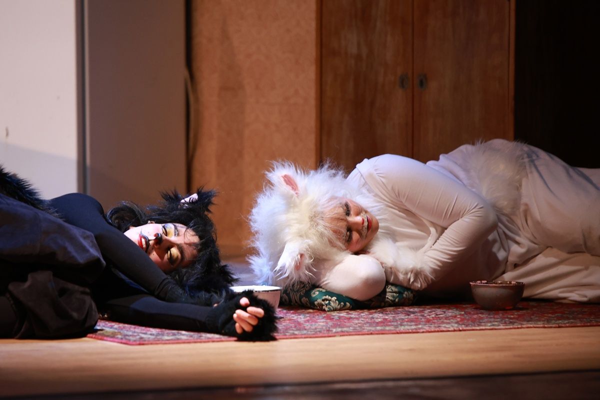 Frakk, a macskák réme