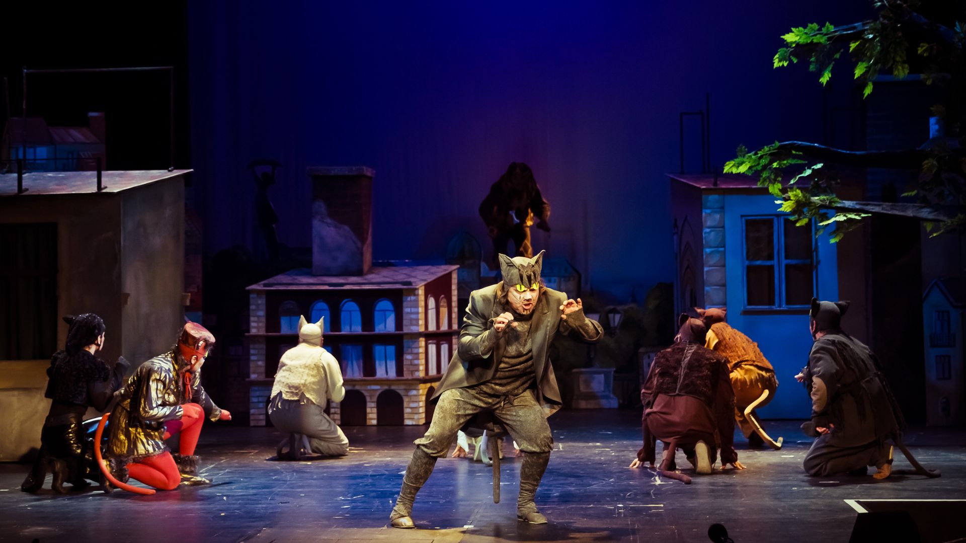 Mirr-Murr, a kandúr