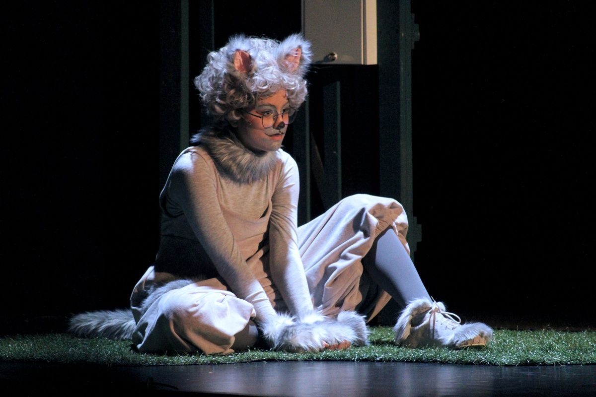 Frakk, a macskák réme