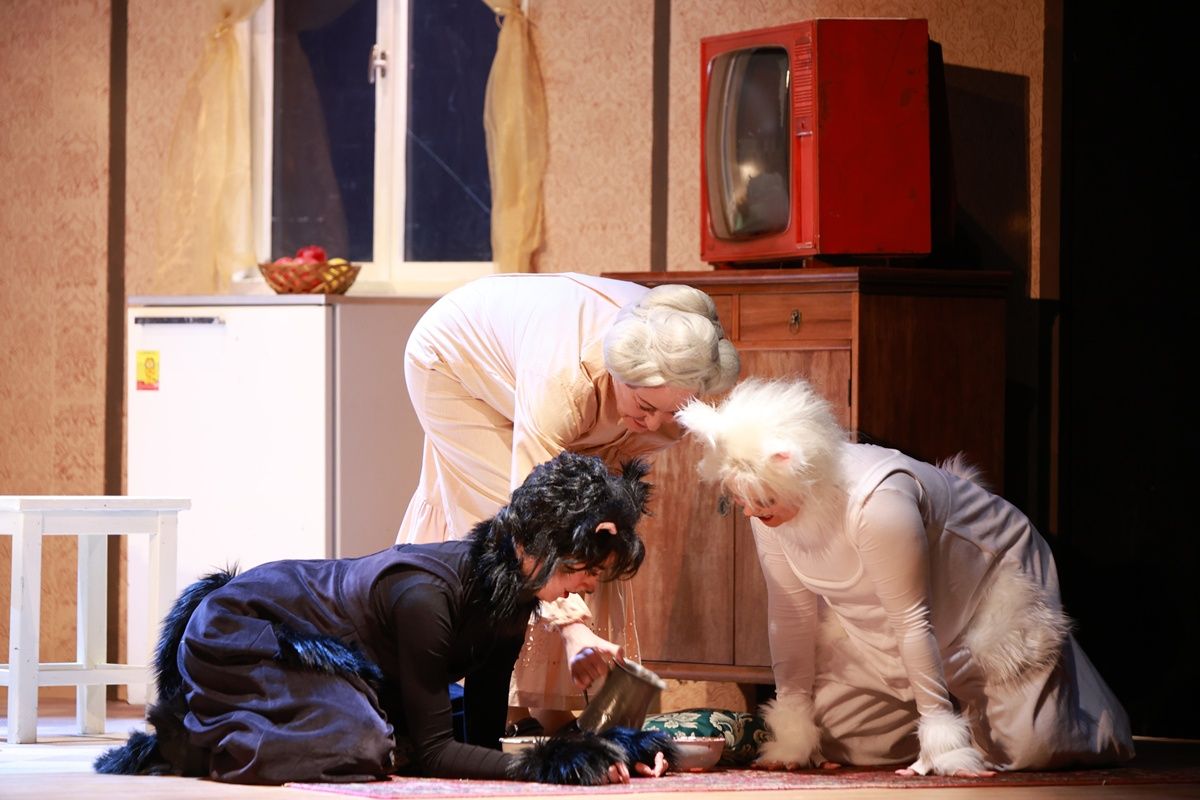 Frakk, a macskák réme