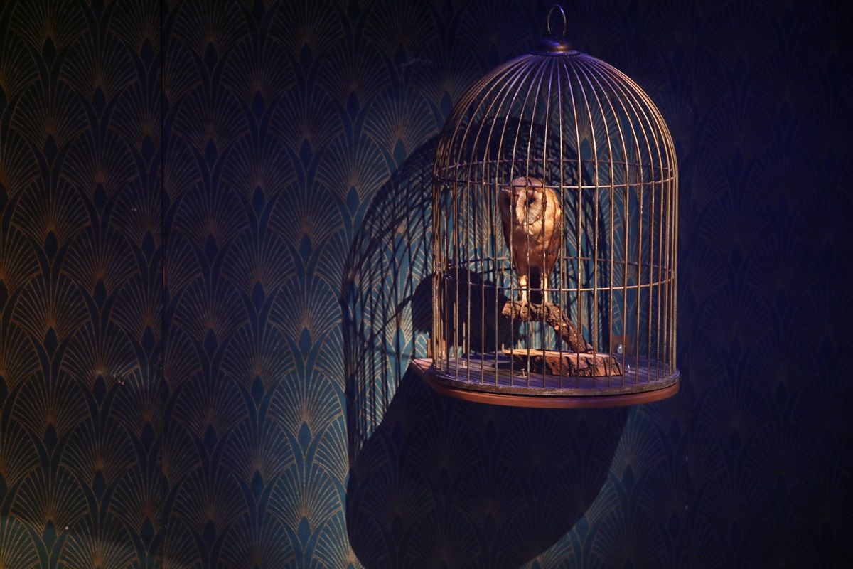 "...Lázas ifjúság..."