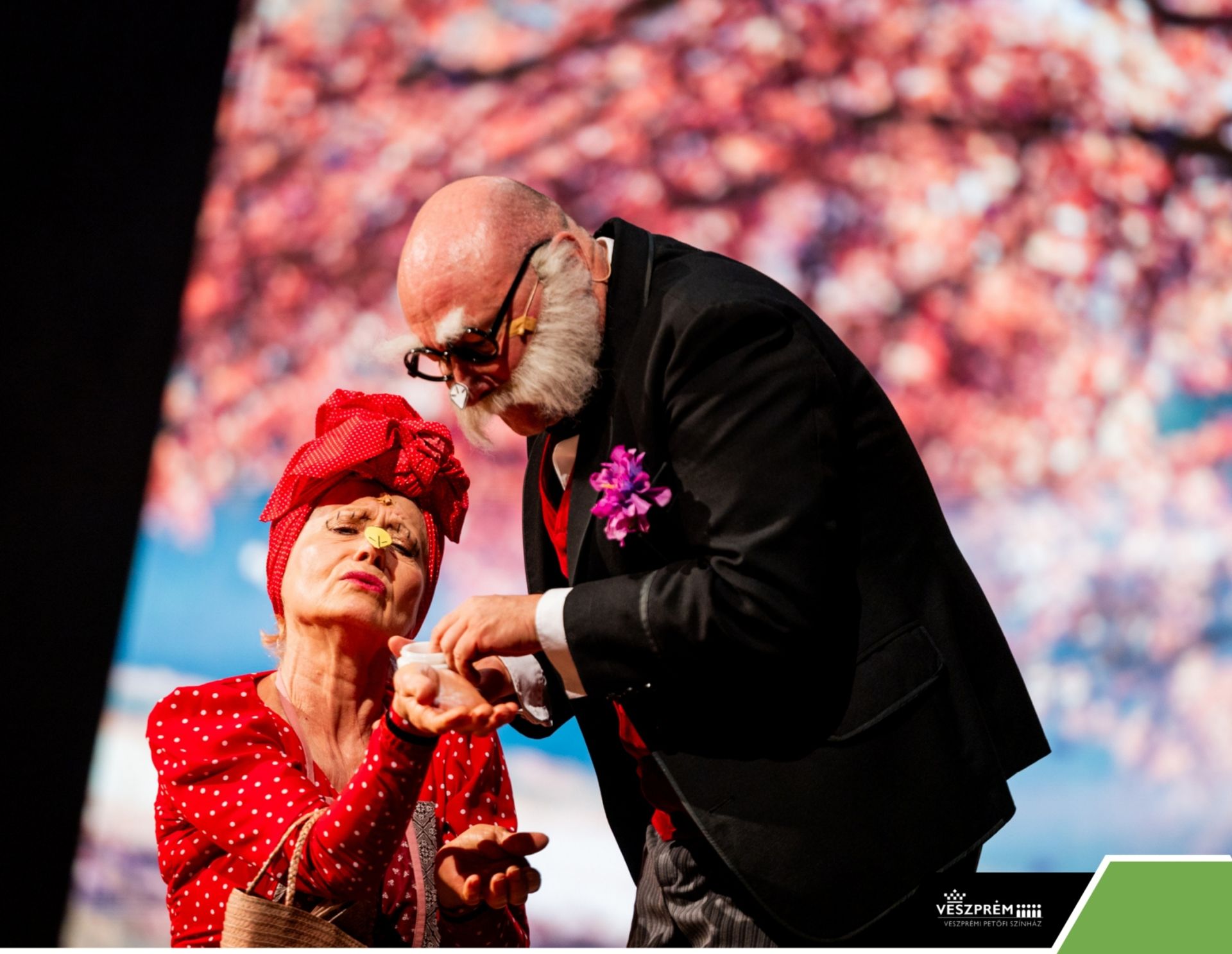 Kérem a következőt! - Dr. Bubó