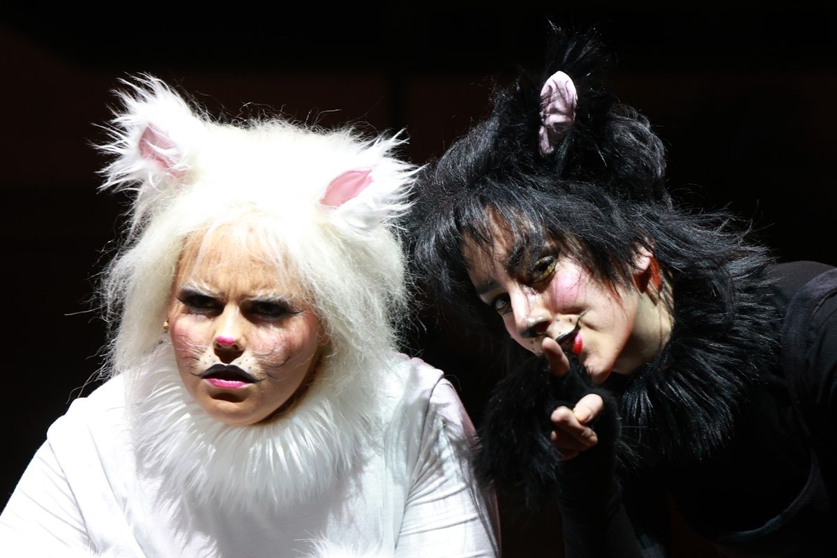 Frakk, a macskák réme