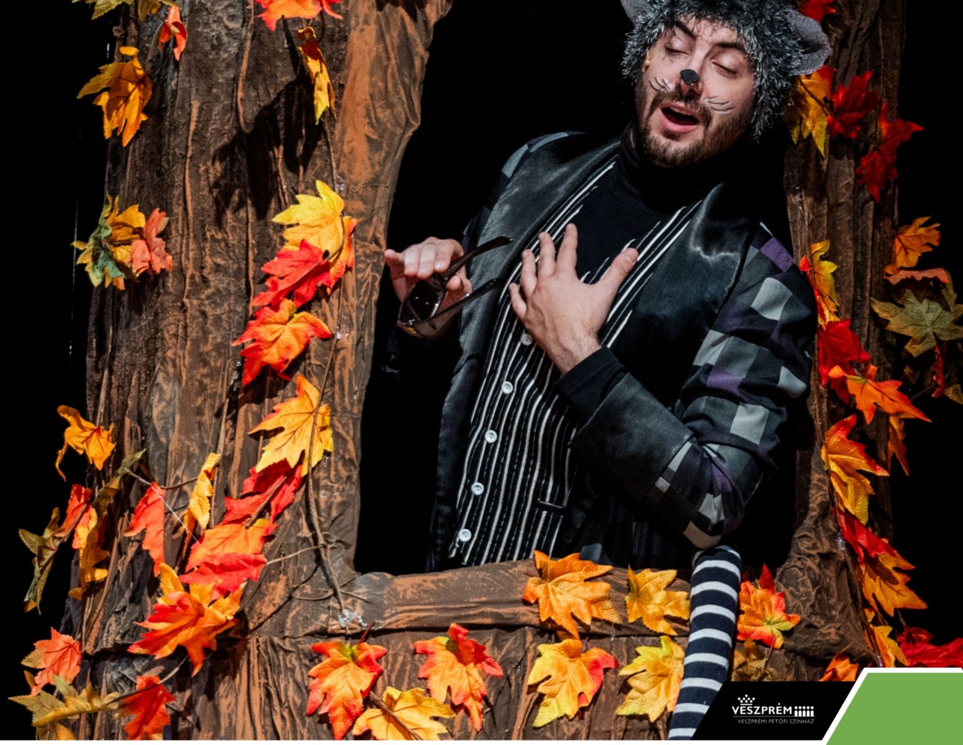 Kérem a következőt! - Dr. Bubó