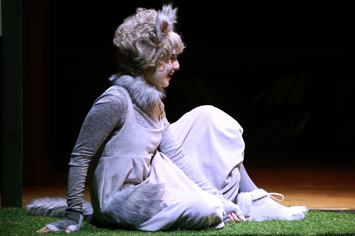 Frakk, a macskák réme