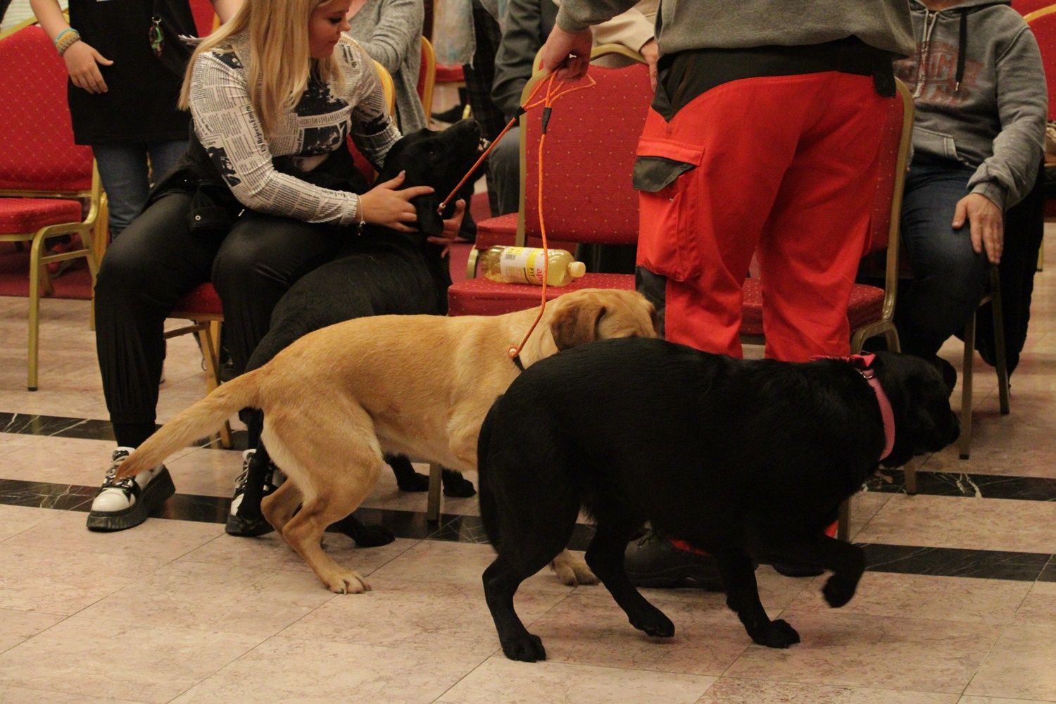 V. Lélektől-lélekig Színház Gyógyító Erejének Fesztiválja - II. nap