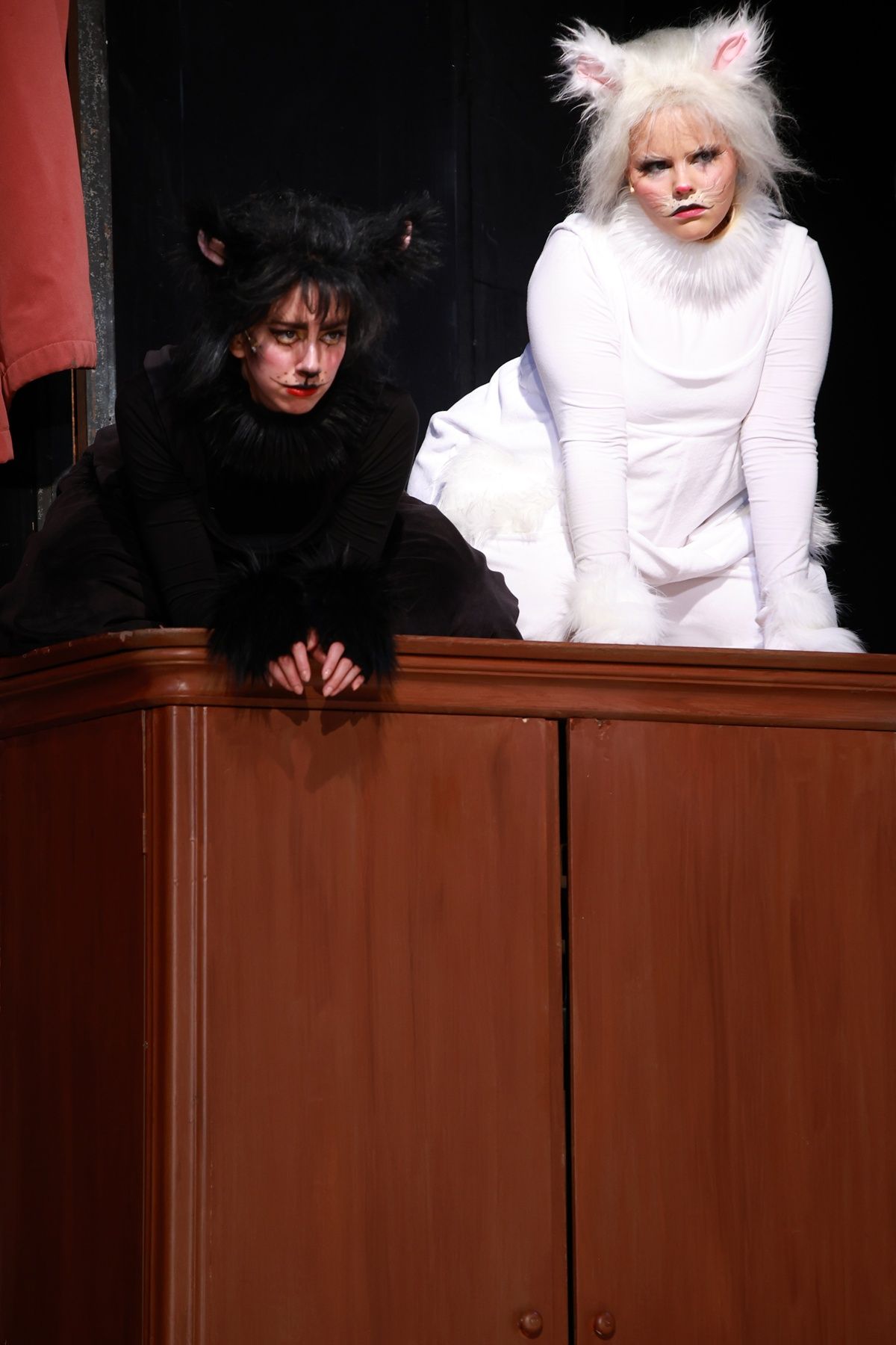 Frakk, a macskák réme