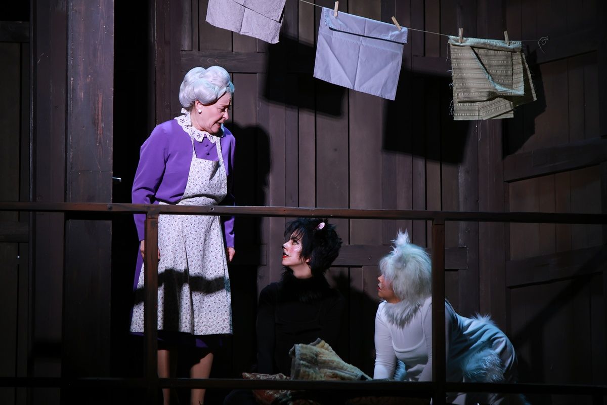 Frakk, a macskák réme