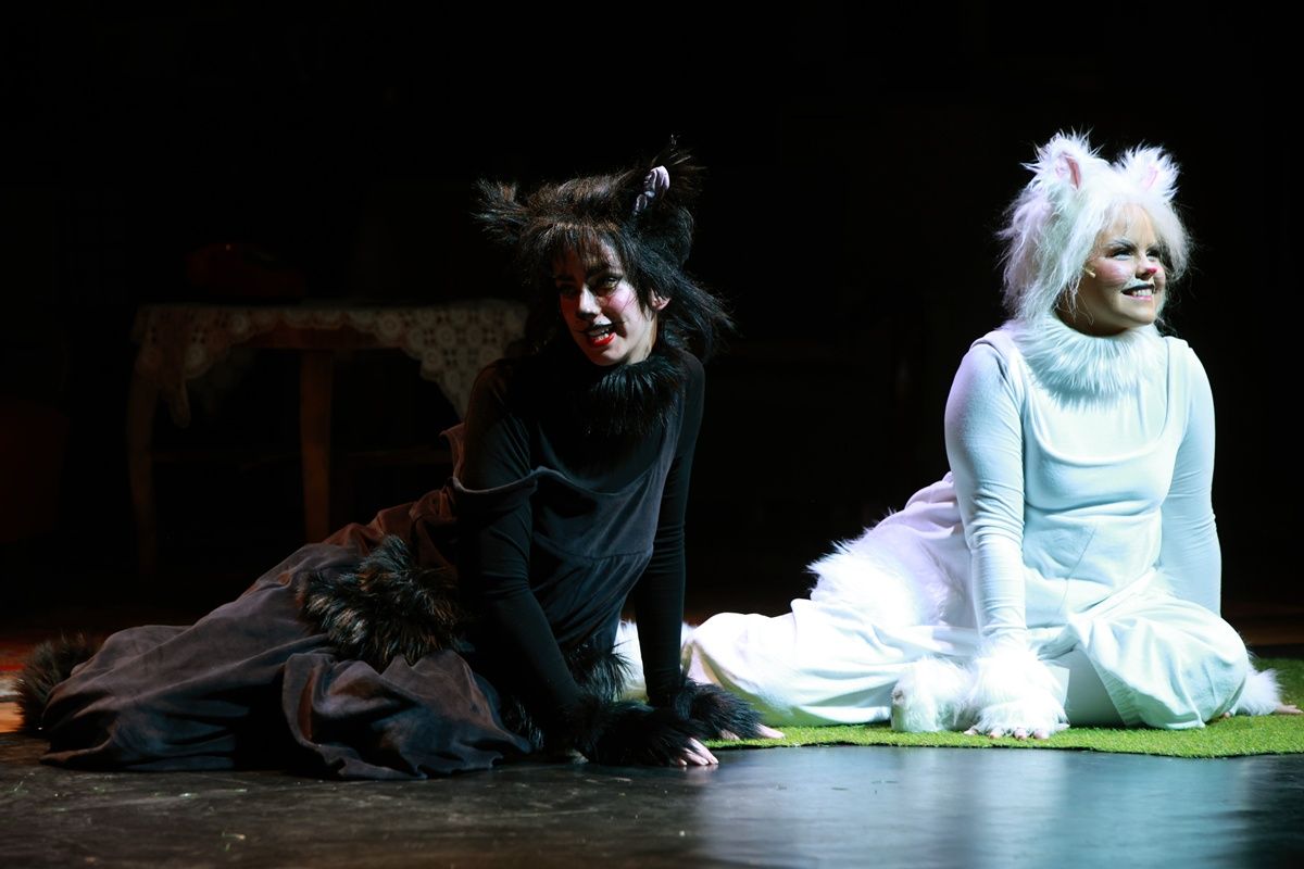 Frakk, a macskák réme