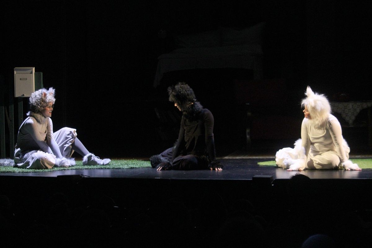 Frakk, a macskák réme