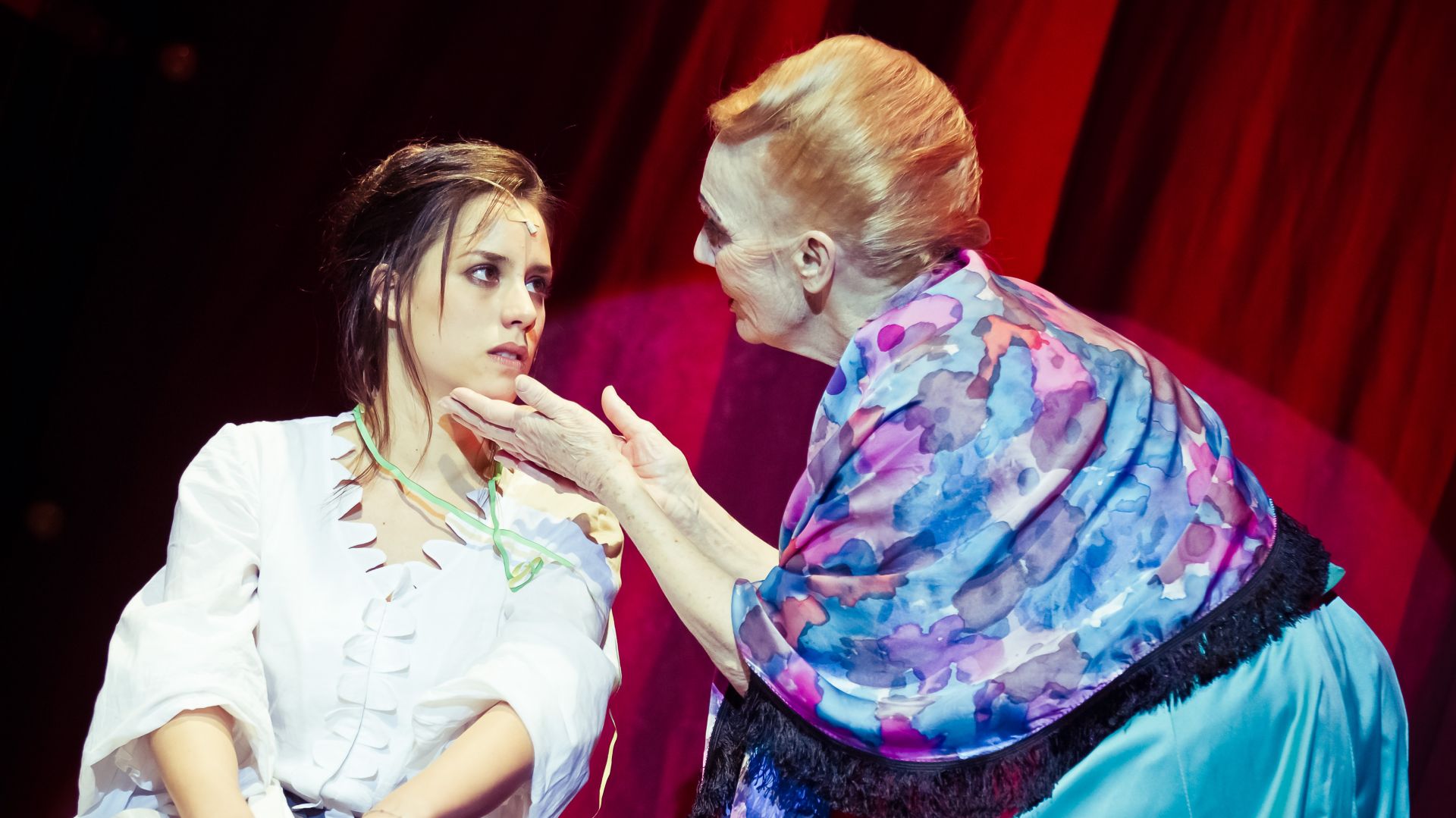 A Montmartre-i ibolya