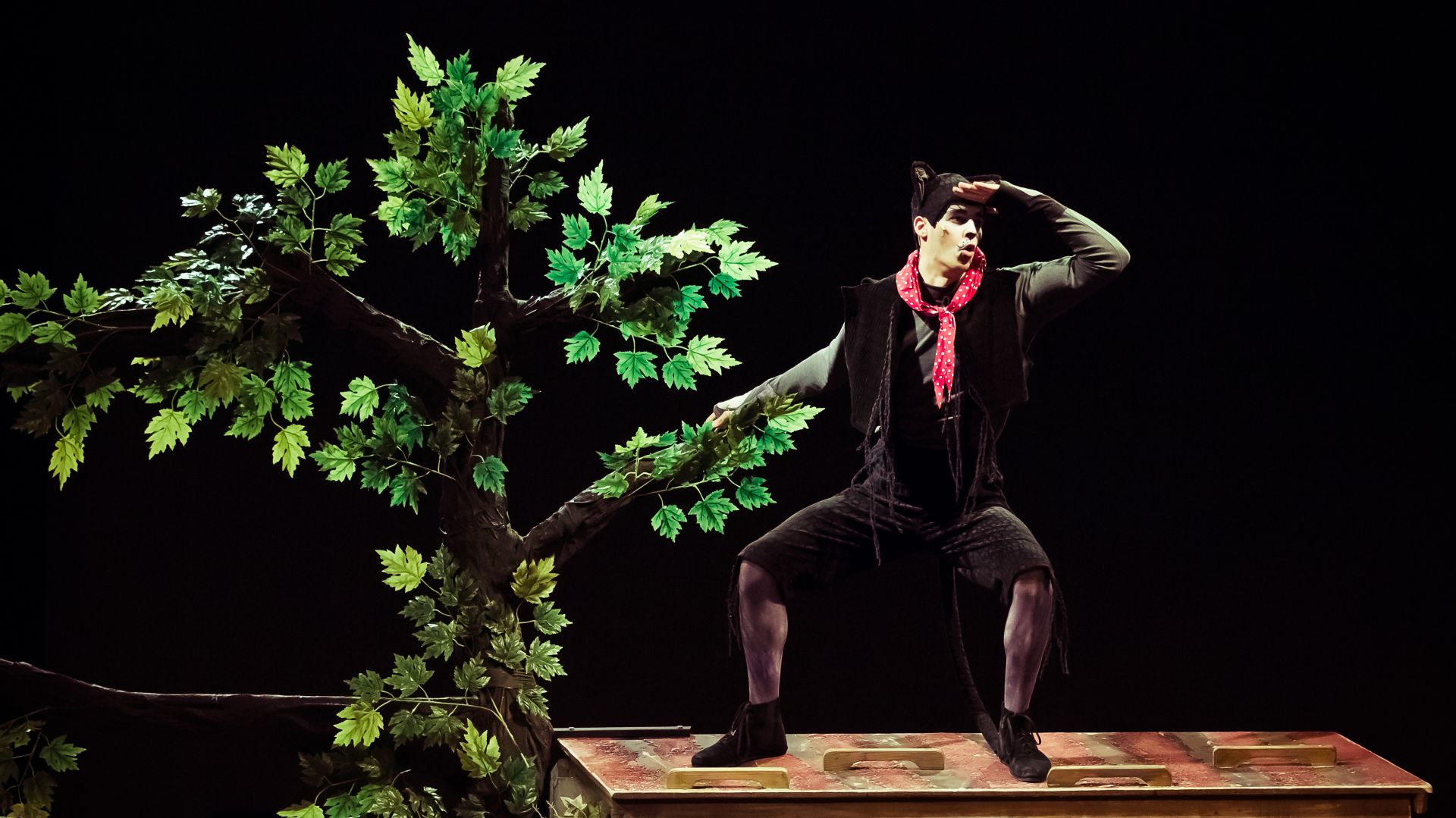 Mirr-Murr, a kandúr