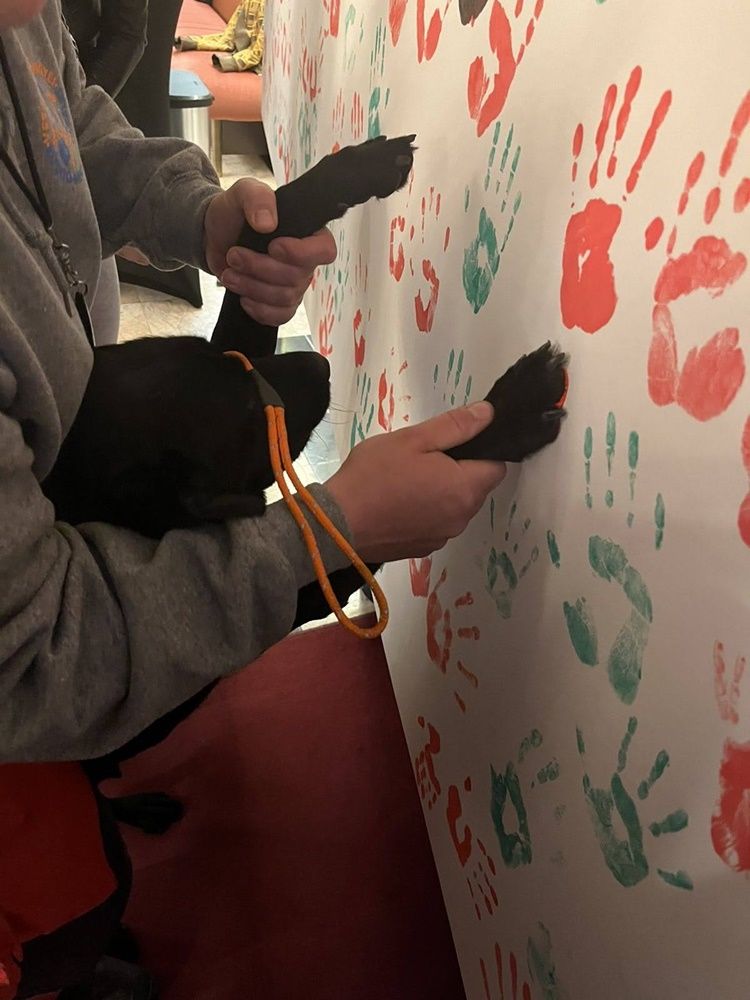 V. Lélektől-lélekig Színház Gyógyító Erejének Fesztiválja - II. nap