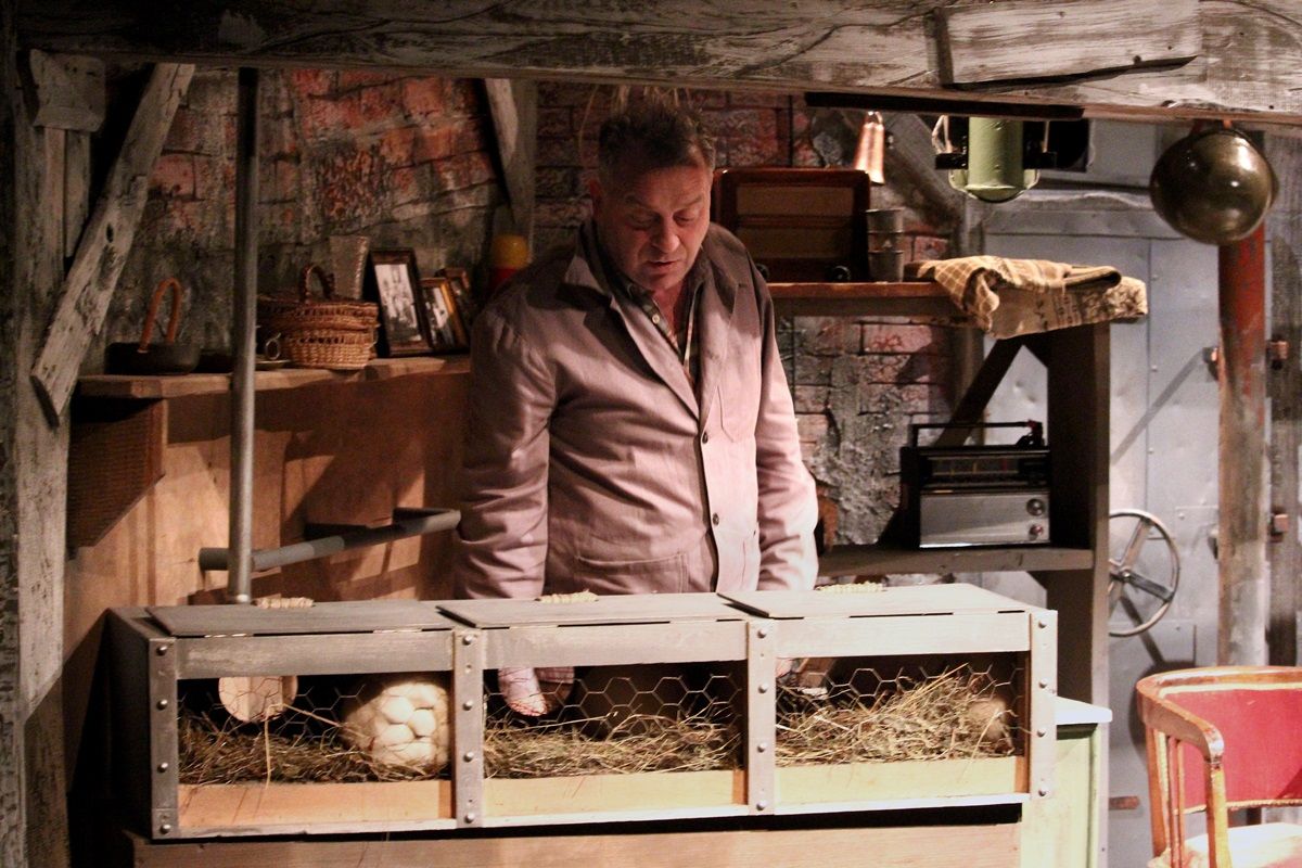 Nyolcvan vödör levegő