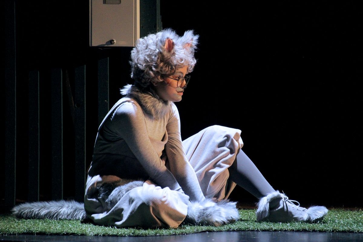 Frakk, a macskák réme