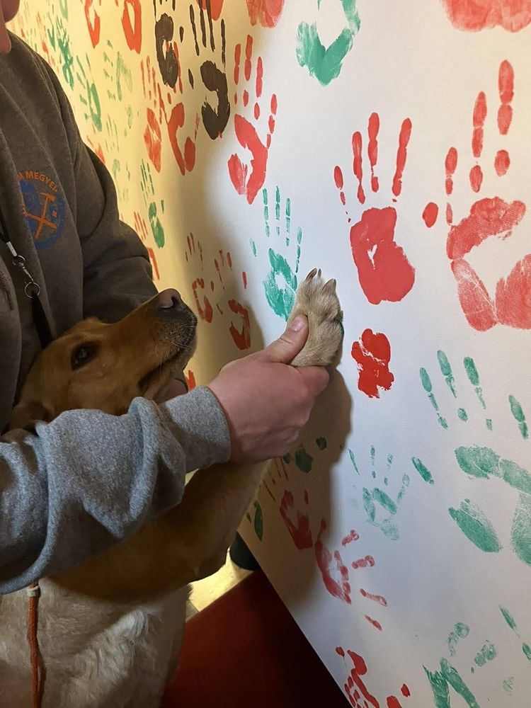 V. Lélektől-lélekig Színház Gyógyító Erejének Fesztiválja - II. nap