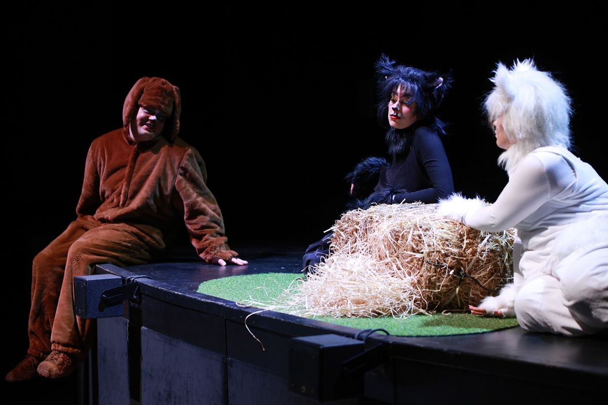 Frakk, a macskák réme