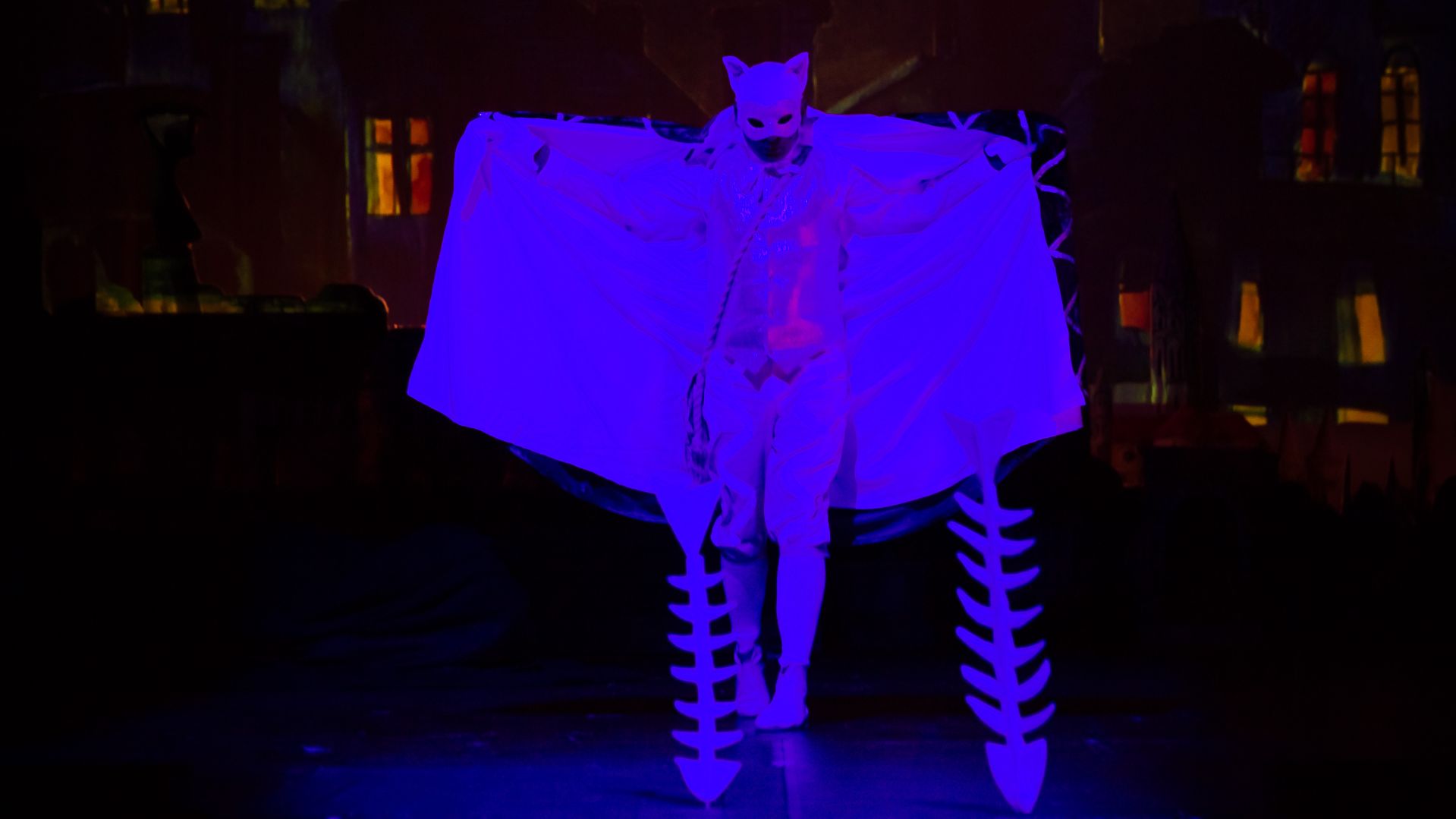 Mirr-Murr, a kandúr