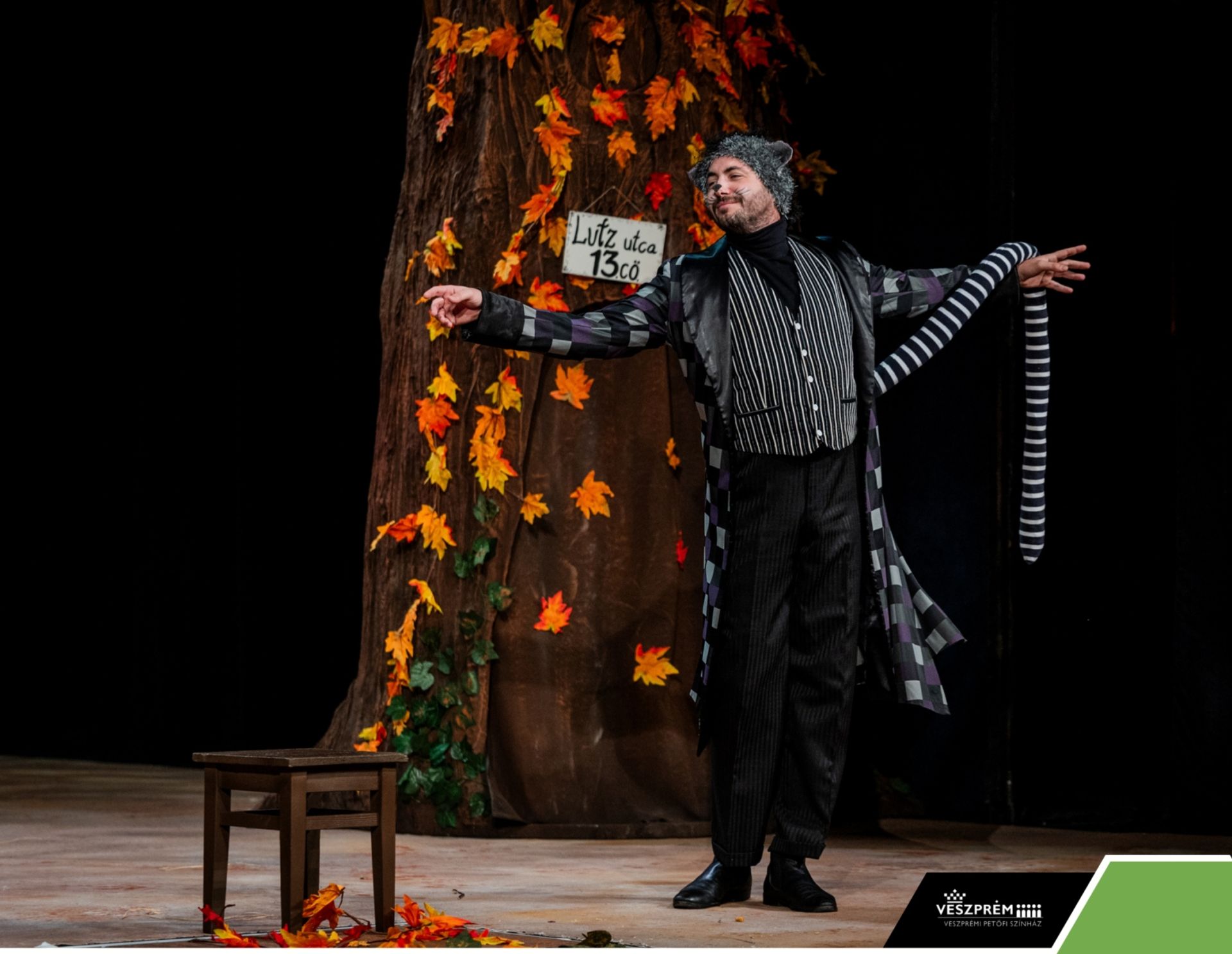 Kérem a következőt! - Dr. Bubó