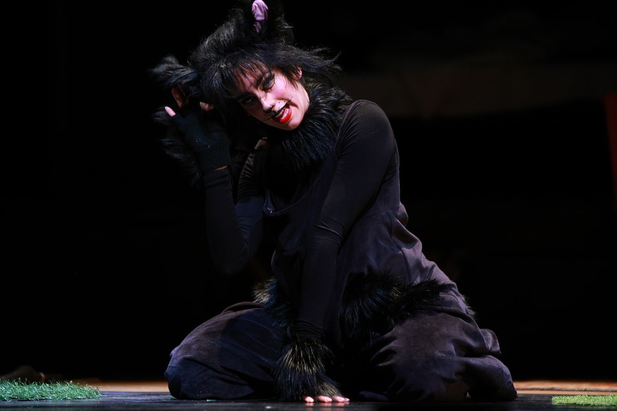 Frakk, a macskák réme