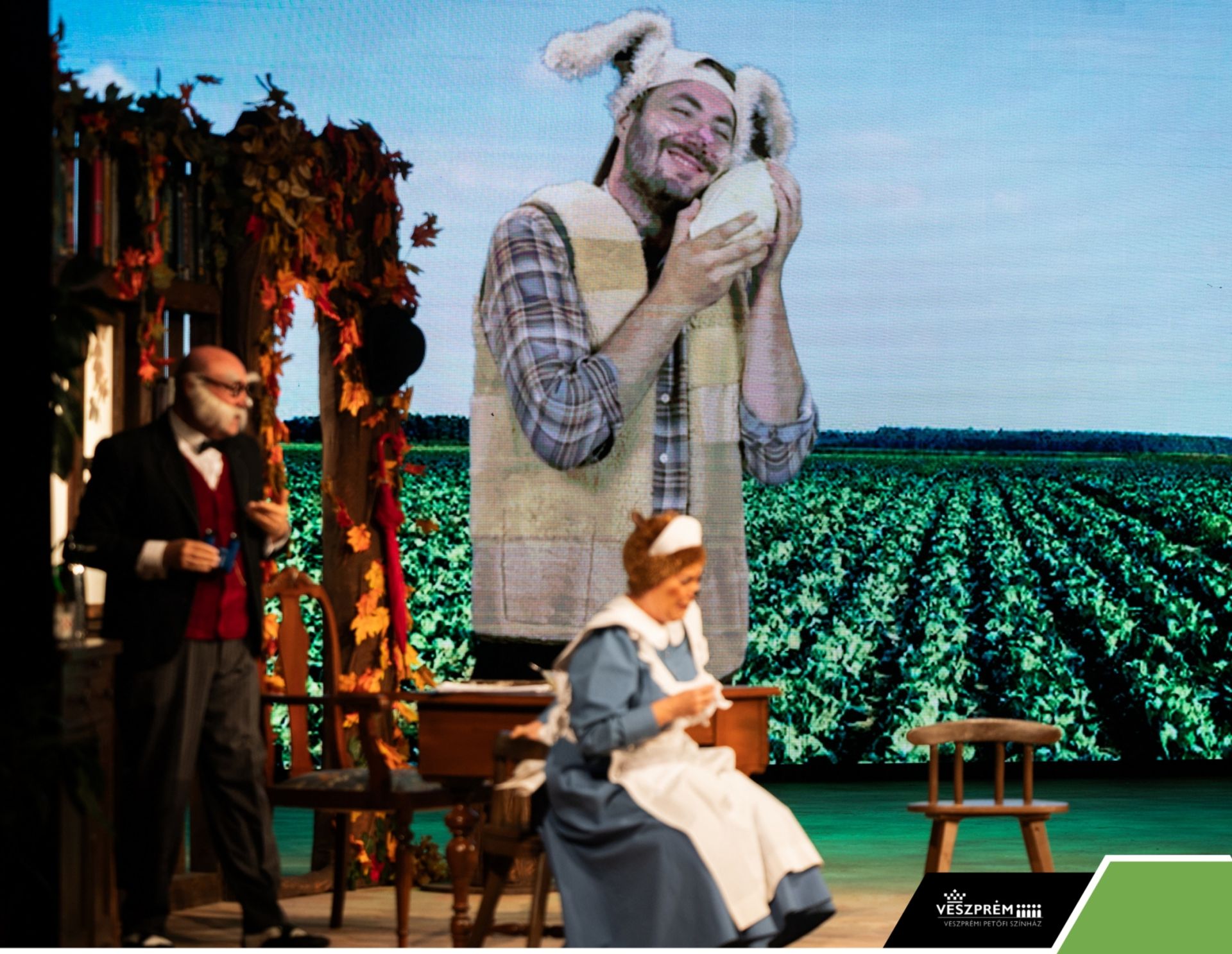 Kérem a következőt! - Dr. Bubó