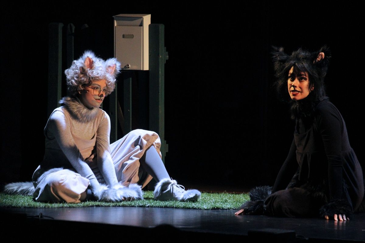 Frakk, a macskák réme