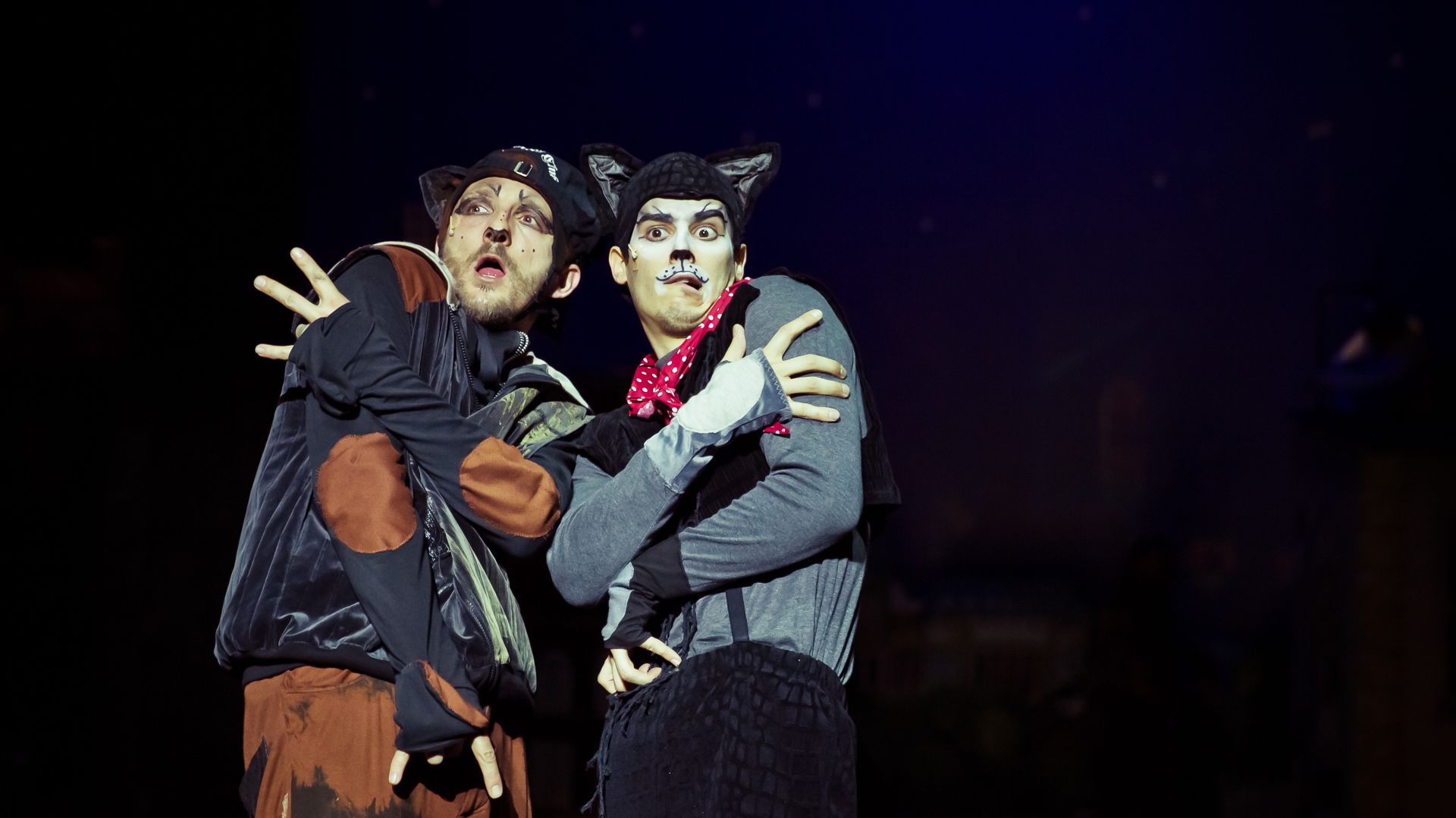 Mirr-Murr, a kandúr