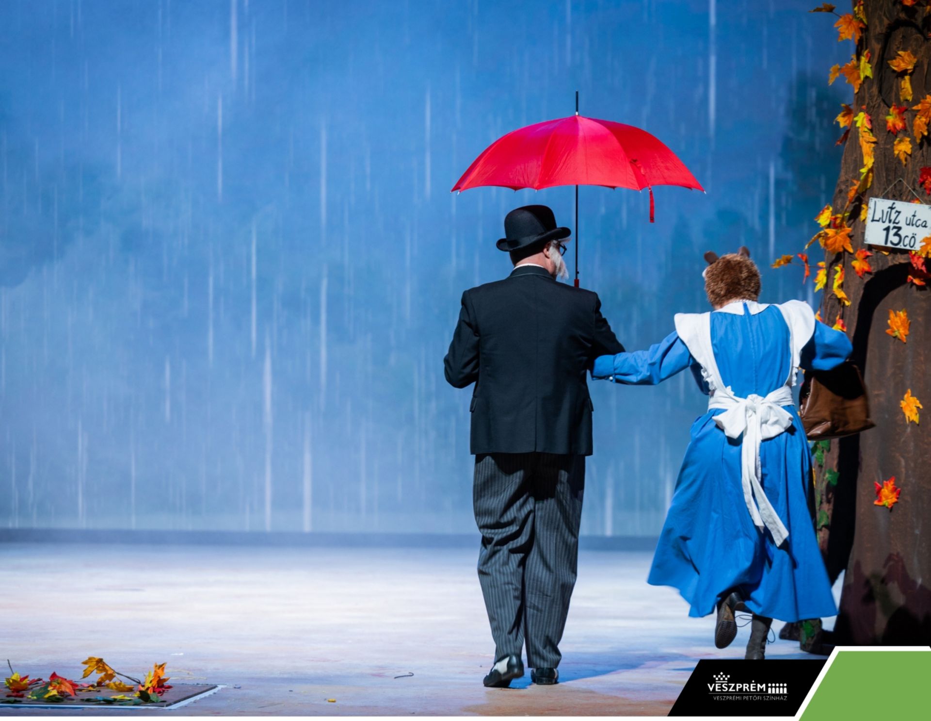 Kérem a következőt! - Dr. Bubó