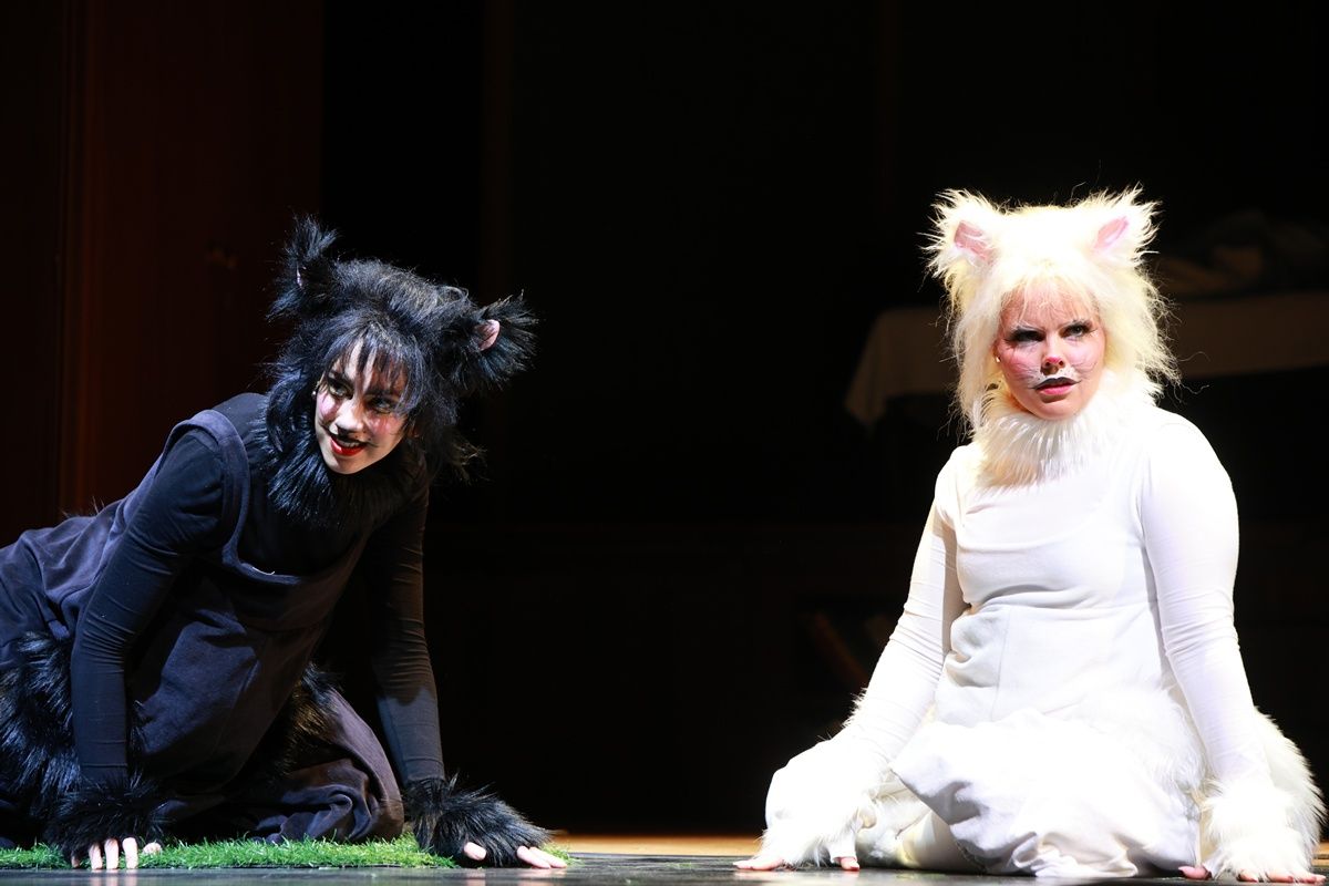 Frakk, a macskák réme