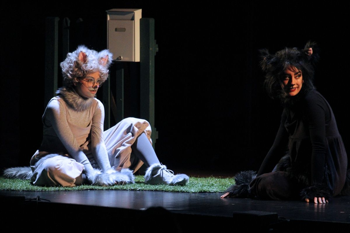 Frakk, a macskák réme