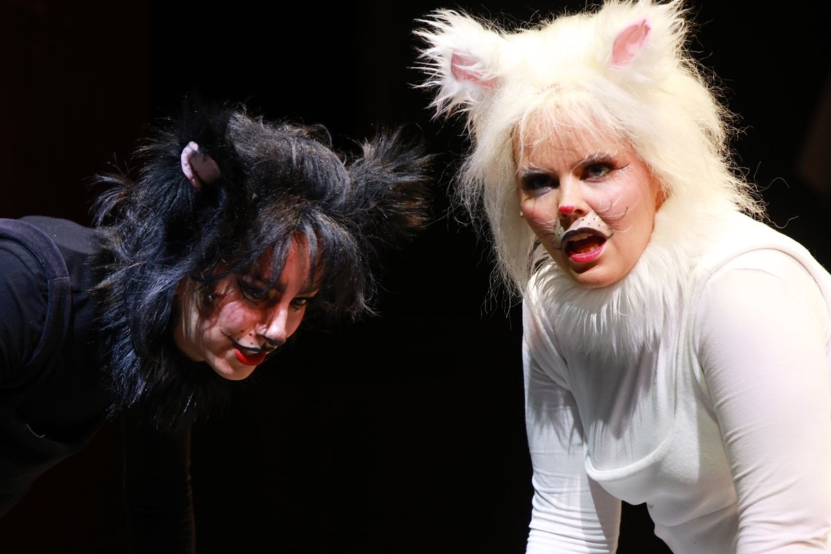 Frakk, a macskák réme