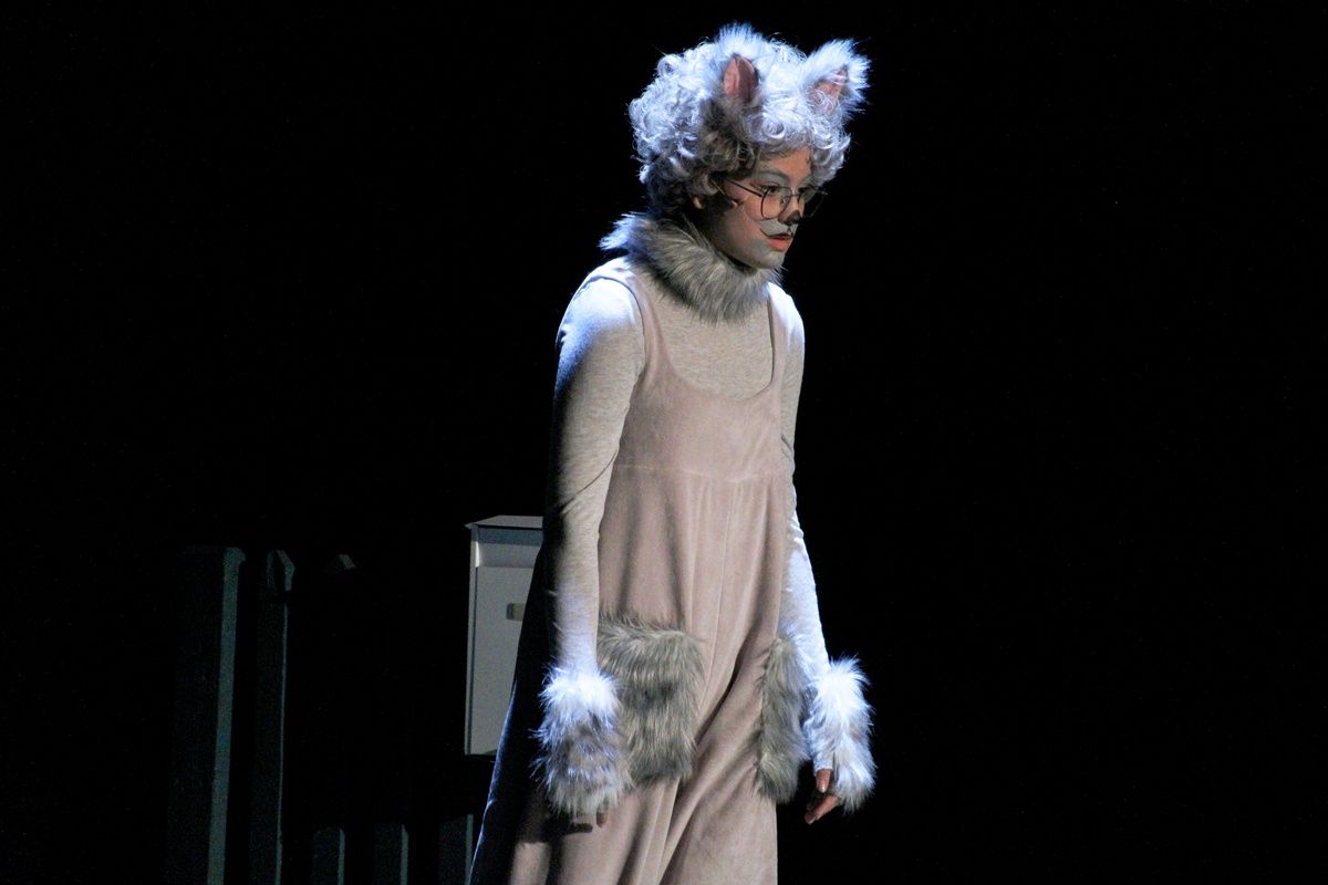 Frakk, a macskák réme