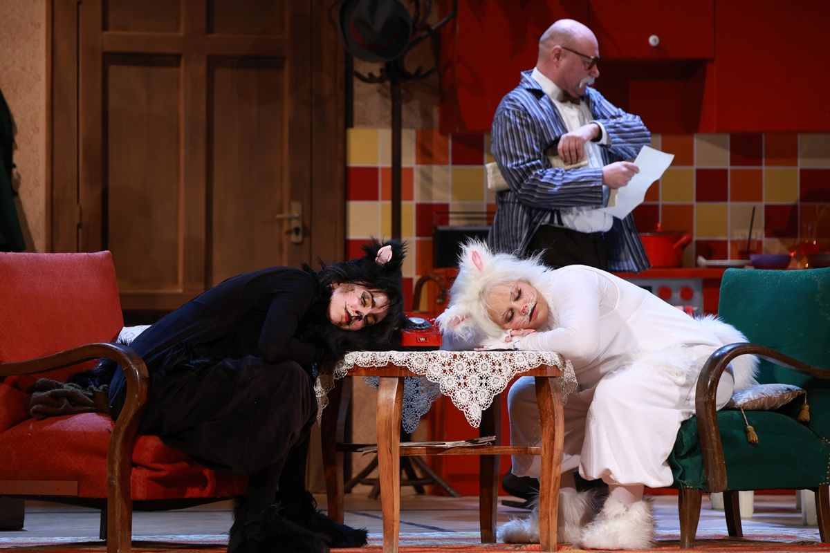 Frakk, a macskák réme