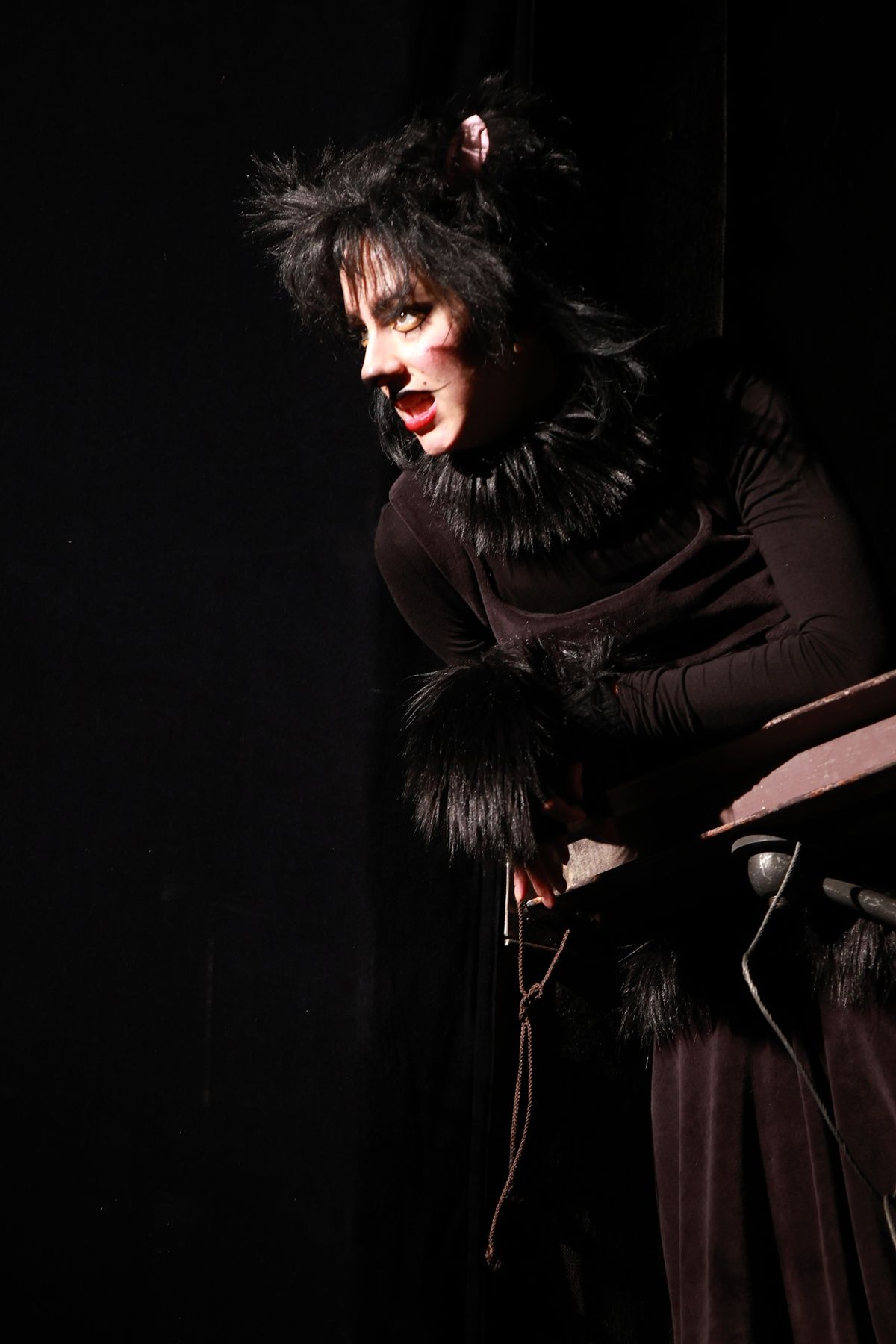 Frakk, a macskák réme